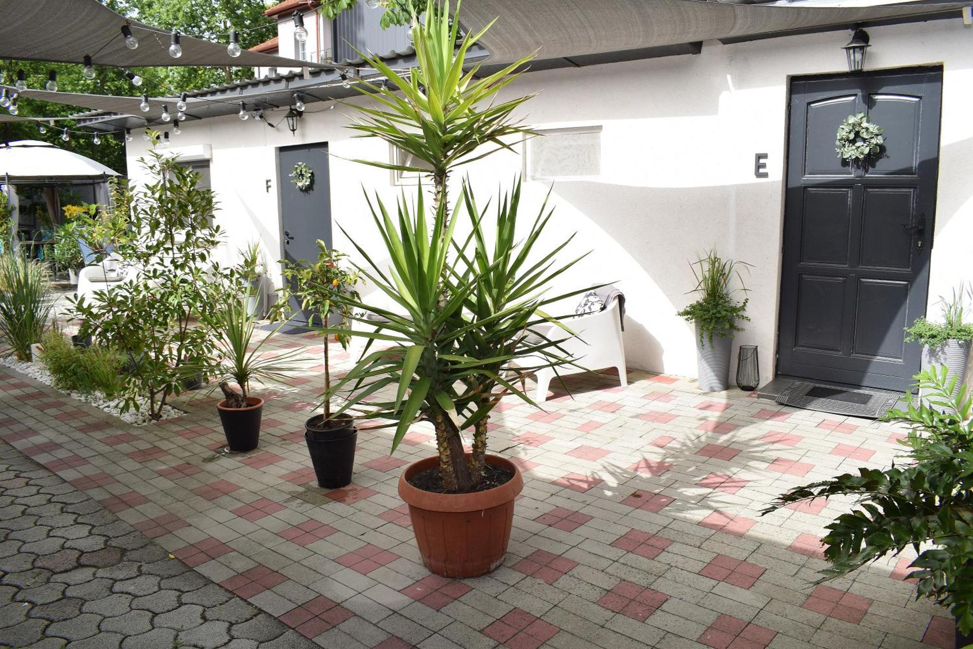 Kertész Appartement *